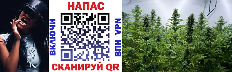 Бошки Шишки семена  мега онион  Сясьстрой 